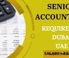 Senior Accountant Required in Dubai