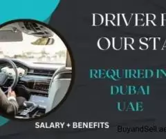 DRIVER FOR OUR STAFF Required in Dubai