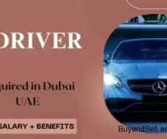 Driver Required in Dubai