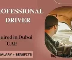 Professional Driver Required in Dubai