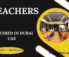 Teachers Required in Dubai