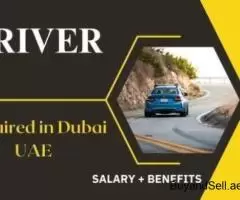 Driver Required in Dubai