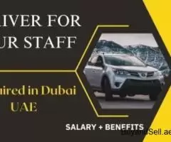 DRIVER FOR OUR STAFF Required in Dubai