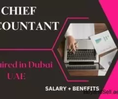 Chief Accountant Required in Dubai