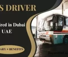 Bus Driver Required in Dubai