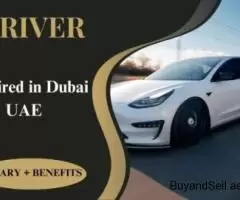 Driver Required in Dubai