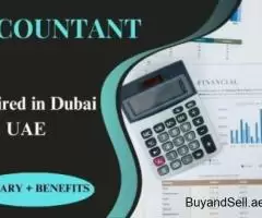 Accountant Required in Dubai