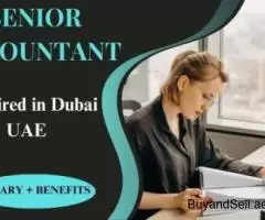 Senior Accountant Required in Dubai