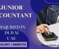 Junior Accountant Required in Dubai