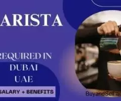 Barista Required in Dubai