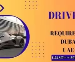 Driver Required in Dubai