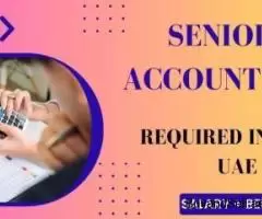 Senior Accountant Required in Dubai