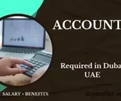 Accountant Required in Dubai