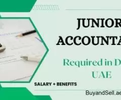 Junior Accountant Required in Dubai