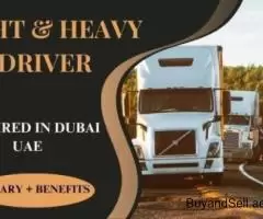 Light and Heavy Driver Required in Dubai