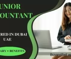 Junior Accountant Required in Dubai