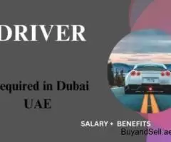 Driver Required in Dubai