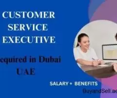 Customer Service Executive Required in Dubai