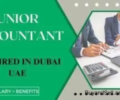 Junior Accountant Required in Dubai