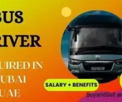 Bus Driver Required in Dubai