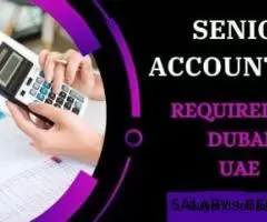 Senior Accountant Required in Dubai