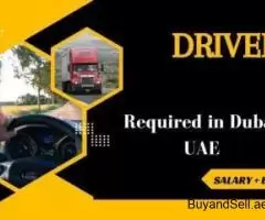 Driver Required in Dubai