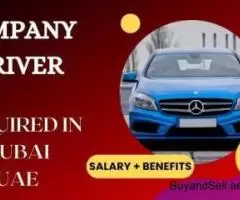 Company Driver Required in Dubai