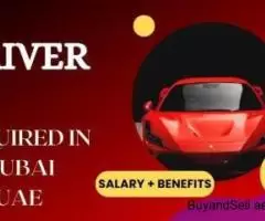 DRIVER Required in Dubai