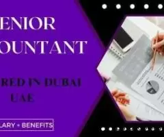 Senior Accountant Required in Dubai