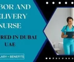 Labor and Delivery Nurse Required in Dubai