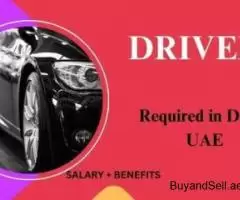 Driver Required in Dubai