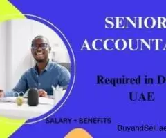 Senior Accountant Required in Dubai