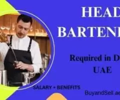 Head Bartender Required in Dubai