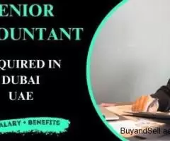 Senior Accountant Required in Dubai