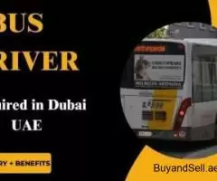 Bus Driver Required in Dubai