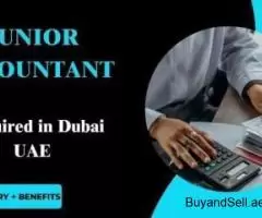 Junior Accountant Required in Dubai