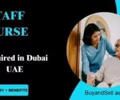 Staff Nurse Required in Dubai