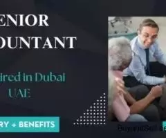 Senior Accountant Required in Dubai