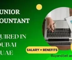 Junior Accountant Required in Dubai