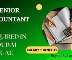 Senior Accountant Required in Dubai