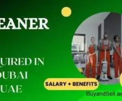 Cleaner Required in Dubai