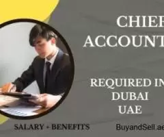 Chief Accountant Required in Dubai