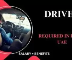 Driver Required in Dubai