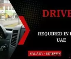 Driver Required in Dubai