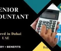 Senior Accountant Required in Dubai