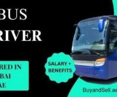 Bus Driver Required in Dubai