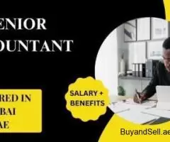 Senior Accountant Required in Dubai