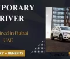 Temporary Driver Required in Dubai