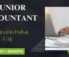 Junior Accountant Required in Dubai