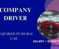 Company Driver Required in Dubai